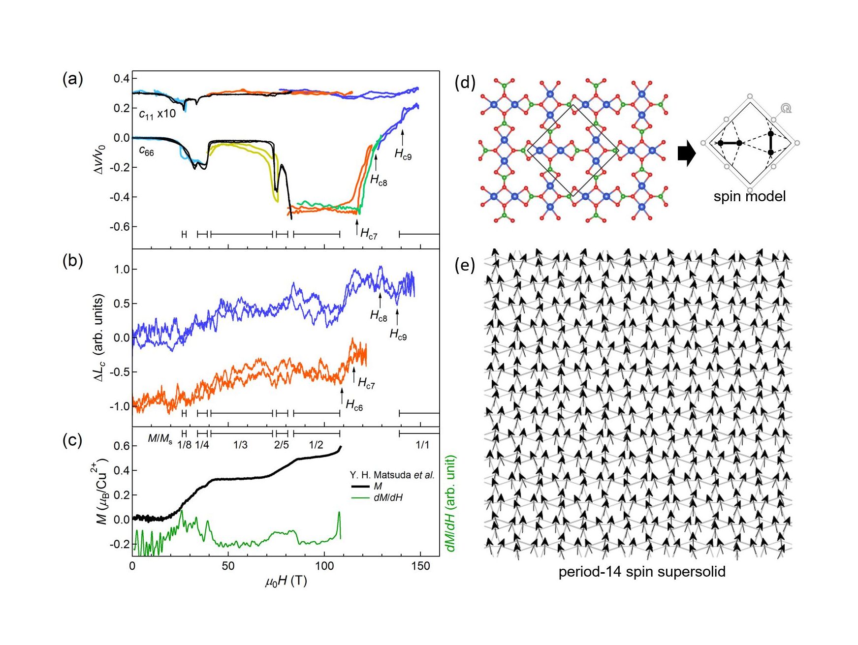 UNVEILING NEW QUANTUM PHASES IN THE SHASTRY SUTHERLAND COMPOUND SrCu2