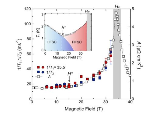 HIGH-FIELD NMR UNVEILS FIELD-REINFORCED SUPERCONDUCTIVITY IN UTe2