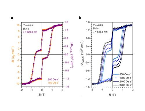 OPTICAL READOUT OF SINGLE-MOLECULEMAGNETS MAGNETIC MEMORIES WITH UNPOLARIZED LIGHT