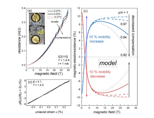 STRETCHED AND COMPRESSED – QUANTUM MATERIALS UNDER EXTREME CONDITIONS