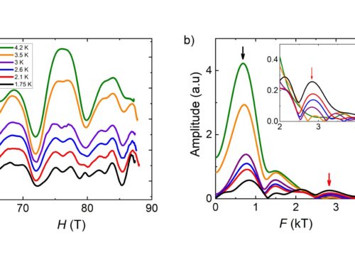 CHARGE ORDER NEAR THE ANTIFERROMAGNETIC QUANTUM CRITICAL POINT IN THE TRILAYER HIGH-TC CUPRATE HgBa2Ca2Cu3O8+δ