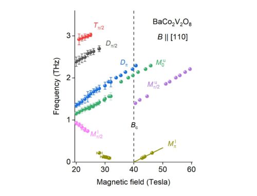 EXPERIMENTAL OBSERVATION OF REPULSIVELY BOUND MAGNONS