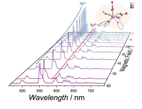 ILLUMINATING A FRONTIER: LUMINESCENT THERMOMETERS IN EXTREME MAGNETIC FIELDS