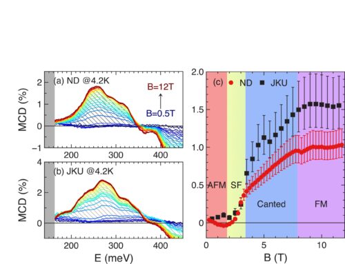 PROBING BERRY CURVATURE IN A MAGNETIC TOPOLOGICAL INSULATOR USING MAGNETO-OPTICS