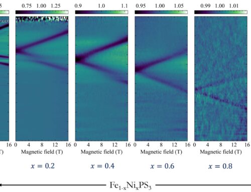 TUNING TERAHERTZ MAGNONS IN A MIXED VAN DER WAALS ANTIFERROMAGNET