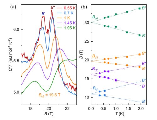 THERMODYNAMIC SIGNATURES OF IN-GAP FERMIONIC QUASIPARTICLE STATES IN A KONDO INSULATOR